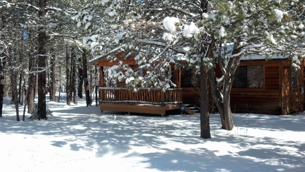 Starbright Cabin Rental Pinetop White Mountain Things To Do