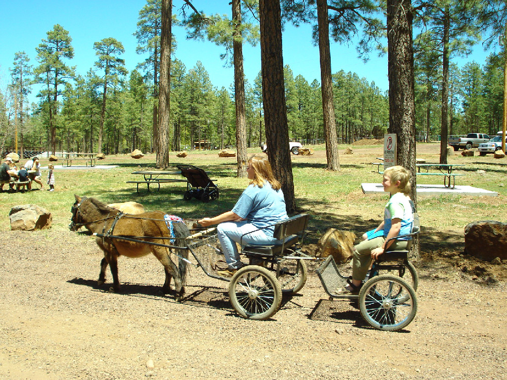 Pinetop Lakes Activity Center & Stables